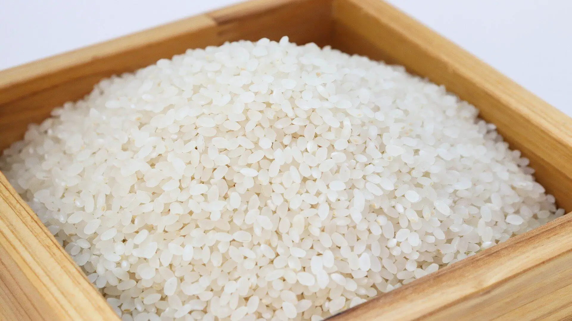 Conservation riz cuit