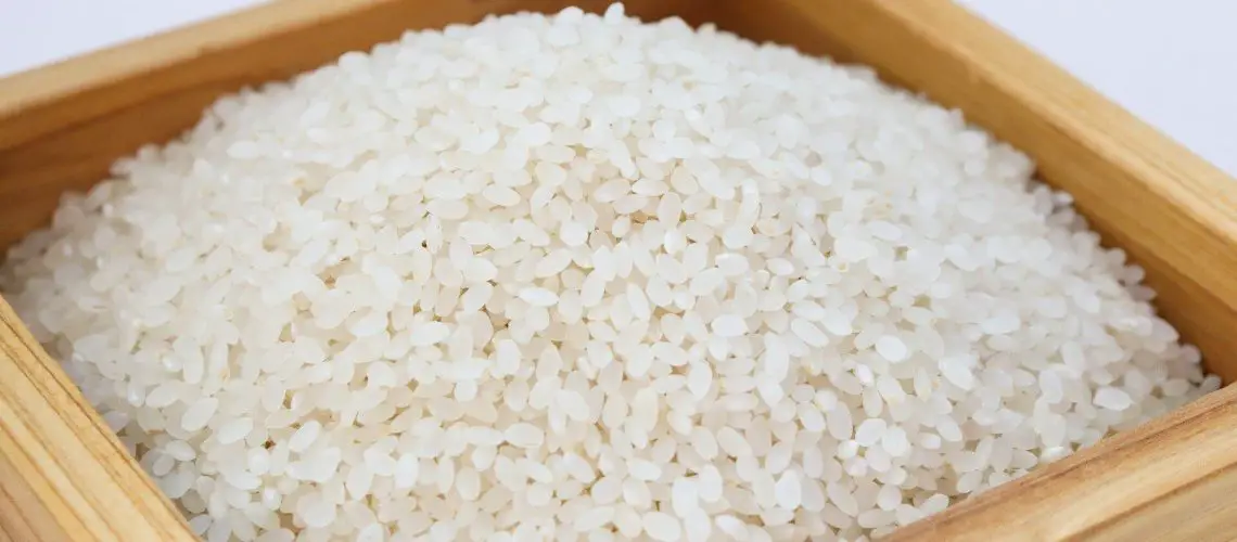 Conservation riz cuit